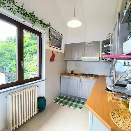 Apartman Need Is *